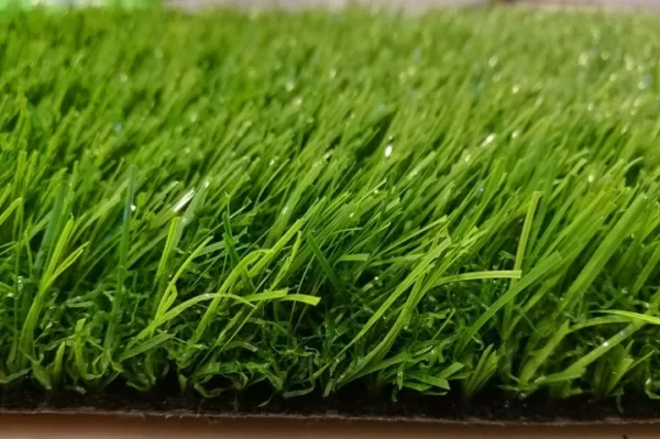 Artificial Grass