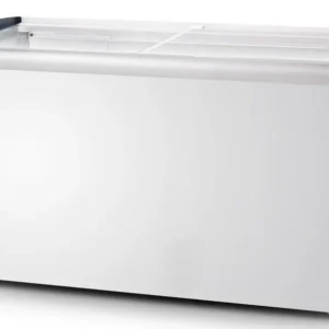 Chest Freezer SDW600