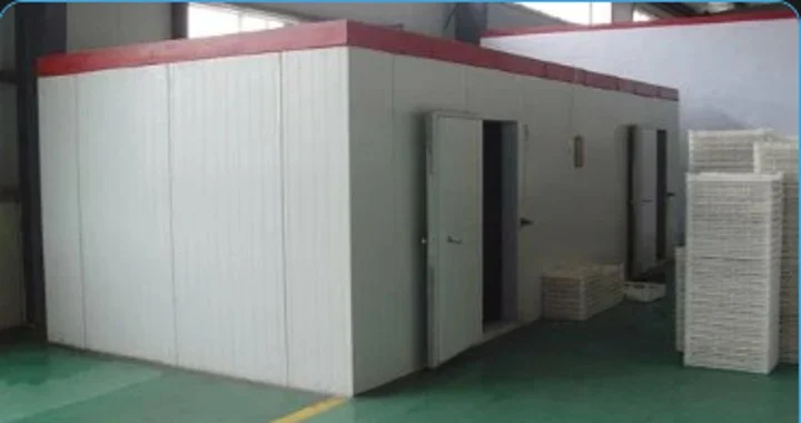 cold room solutions for chilled and frozen storage in Malaysia